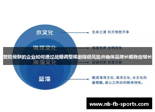 赞助曼联的企业如何通过战略调整规避降级风险并确保品牌长期稳定增长