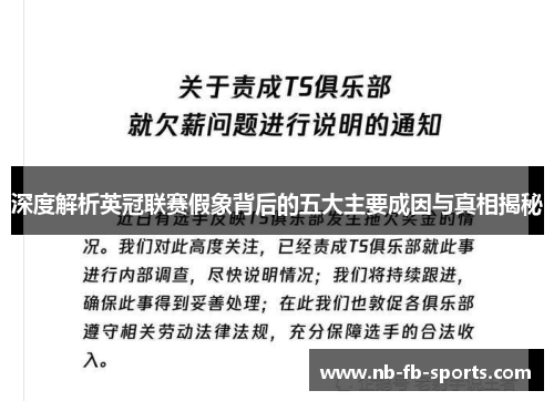 深度解析英冠联赛假象背后的五大主要成因与真相揭秘