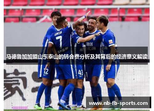 马德鲁加加盟山东泰山的转会费分析及其背后的经济意义解读