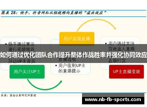 如何通过优化团队合作提升整体作战胜率并强化协同效应