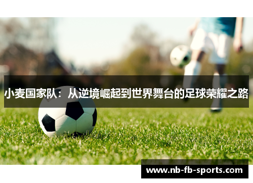 小麦国家队：从逆境崛起到世界舞台的足球荣耀之路