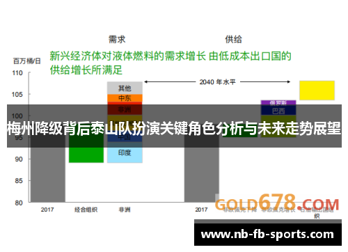 梅州降级背后泰山队扮演关键角色分析与未来走势展望