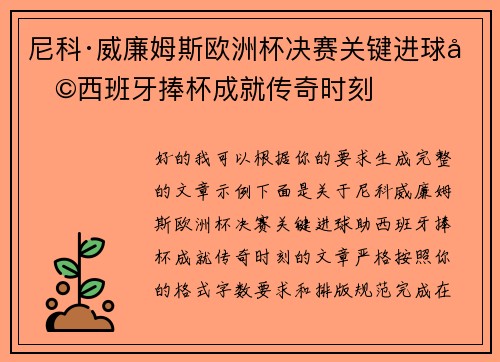 尼科·威廉姆斯欧洲杯决赛关键进球助西班牙捧杯成就传奇时刻